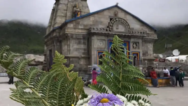 Kedarnath Tour