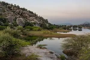 Jawai New