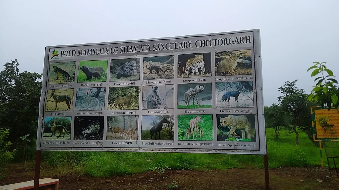 Tour Image
